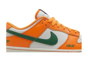 florida-am-university-x-nike-dunk-low-we-bragg-different-dr6188-800-domahi-store-igtda.jpeg