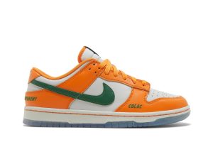 Florida A&M University x Nike Dunk Low ‘We Bragg Different’ DR6188-800